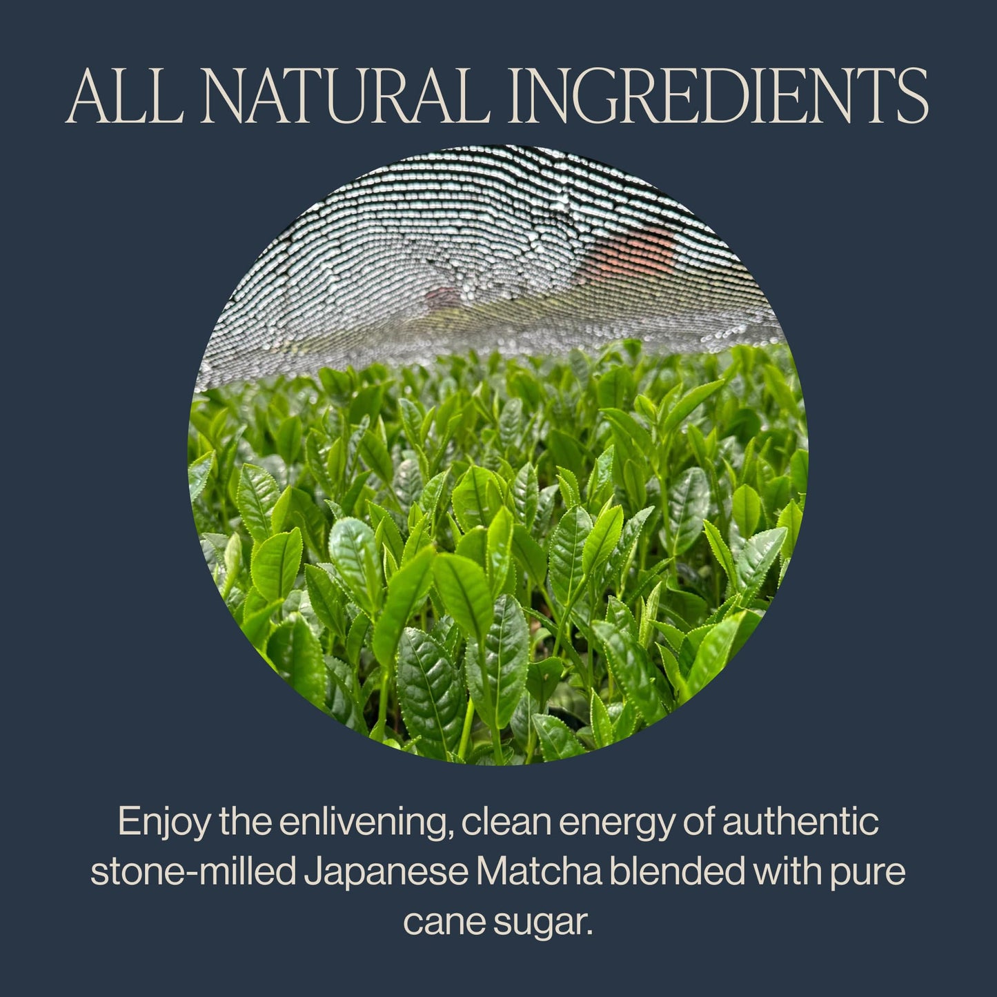 Rishi Tea Sweet Matcha - Organic Japanese Sweetened Green Tea Powder For Cafe-Quality Matcha Drinks, Hot Or Iced - 4.4 Ounces (P