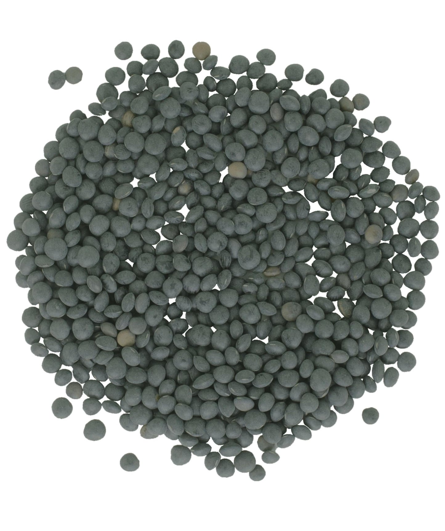 Black Beluga Lentils Bulk | 25 Lbs | Non-Gmo | Kosher | Vegan | Non-Irradiated