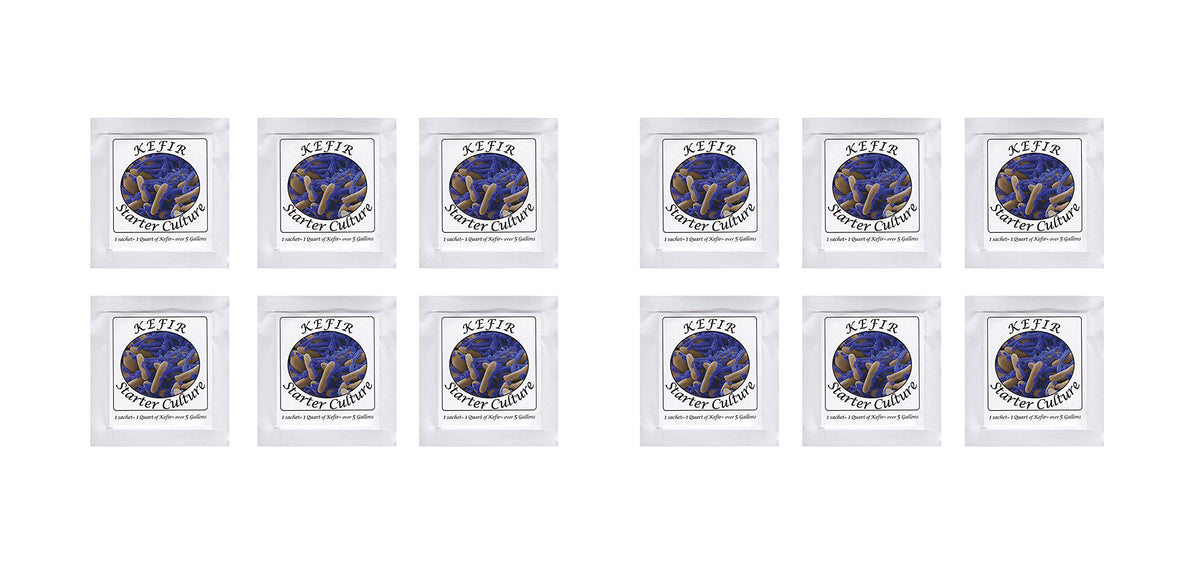 Kefir Starter Culture - Pack of 12 Freeze Dried Sachets (12)