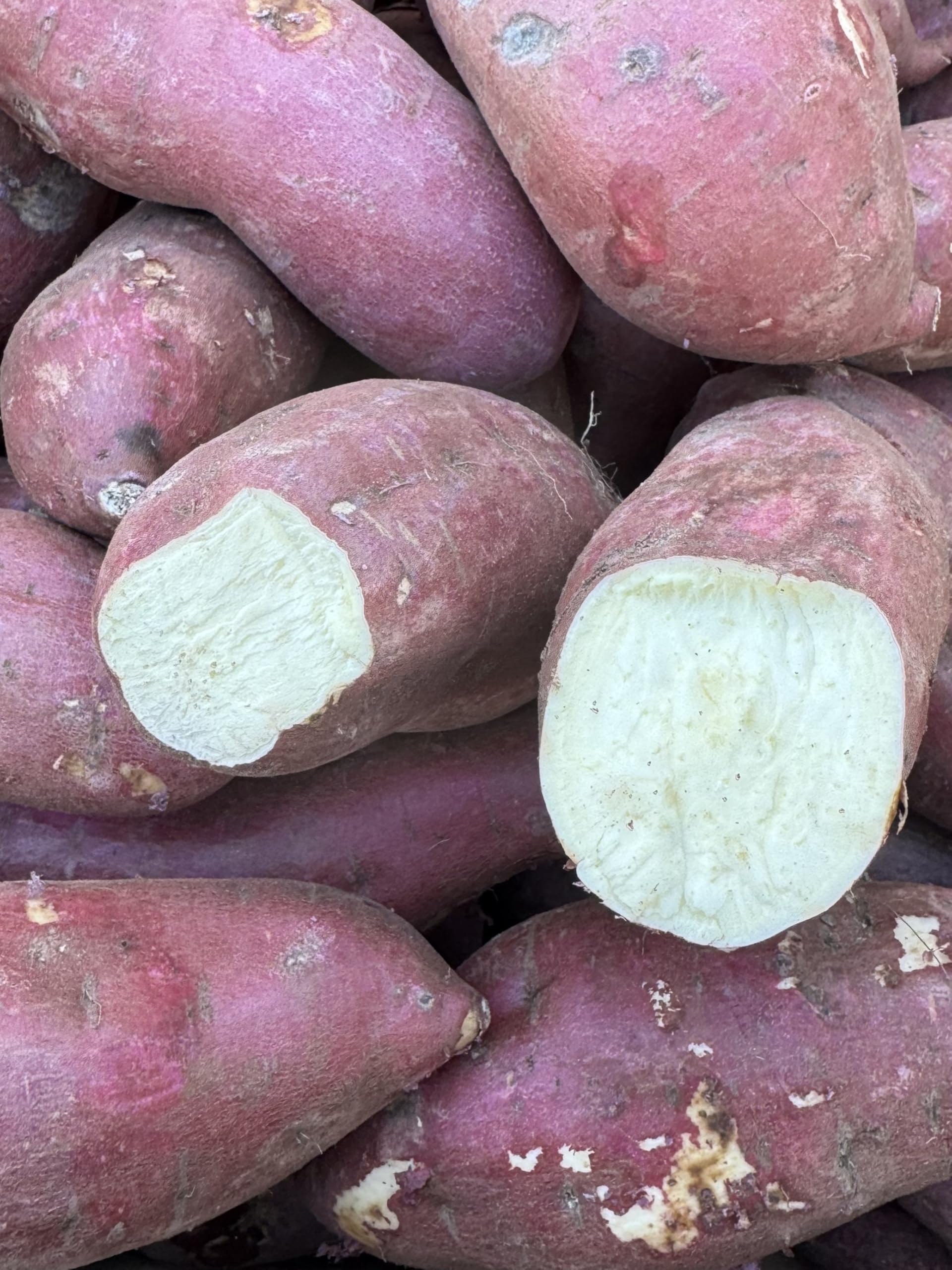 5 Pounds Fresh Japanese White Sweet Potatoes Yam - Red Skin - White Flesh - Large Size Roots - Produce
