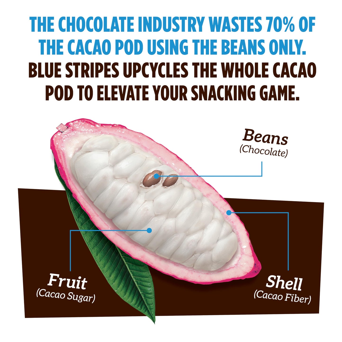 Blue Stripes - Trail Mix, Dark Chocolate Coconut, Mixed Nuts, Healthy Snacks for Adults, Cashews, Whole 70% Cacao, With Unrefine