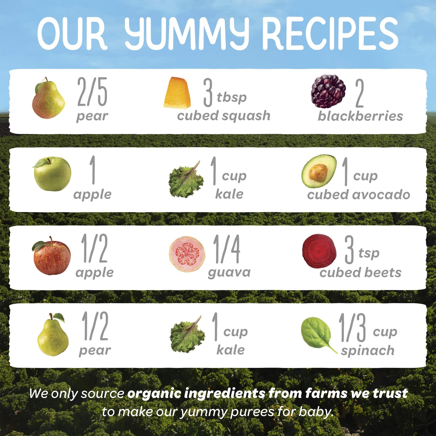 Happy Baby Organics Stage 2 Baby Food Pouches, Gluten Free, Vegan & Healthy Snack, Clearly Crafted Fruit & Veggie Puree, Fruit & Veggie Variety Pack, 4 Ounces (Pack Of 16), Large Online Retailer Limited Availability