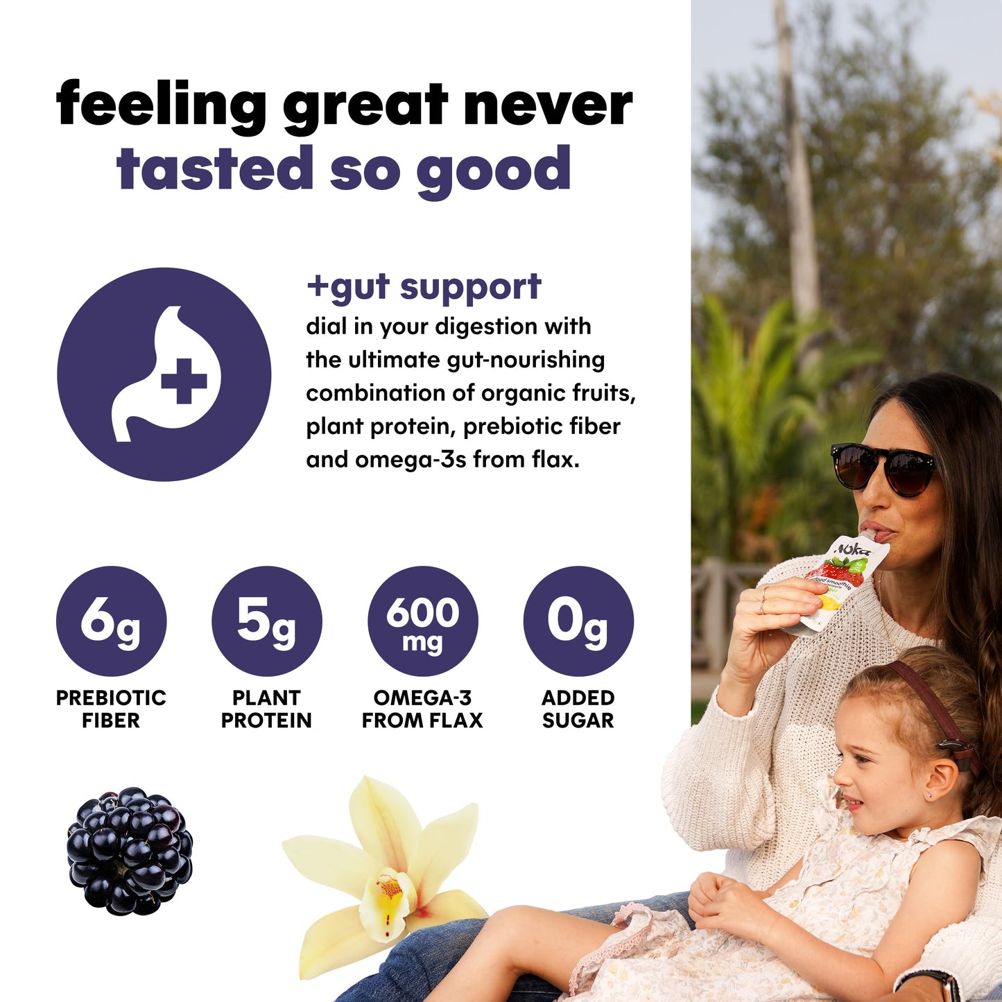 Noka Superfood Fruit Smoothie Pouches, Blackberry Vanilla, Healthy Snacks with Flax Seed, Plant Protein and Prebiotic Fiber, Veg