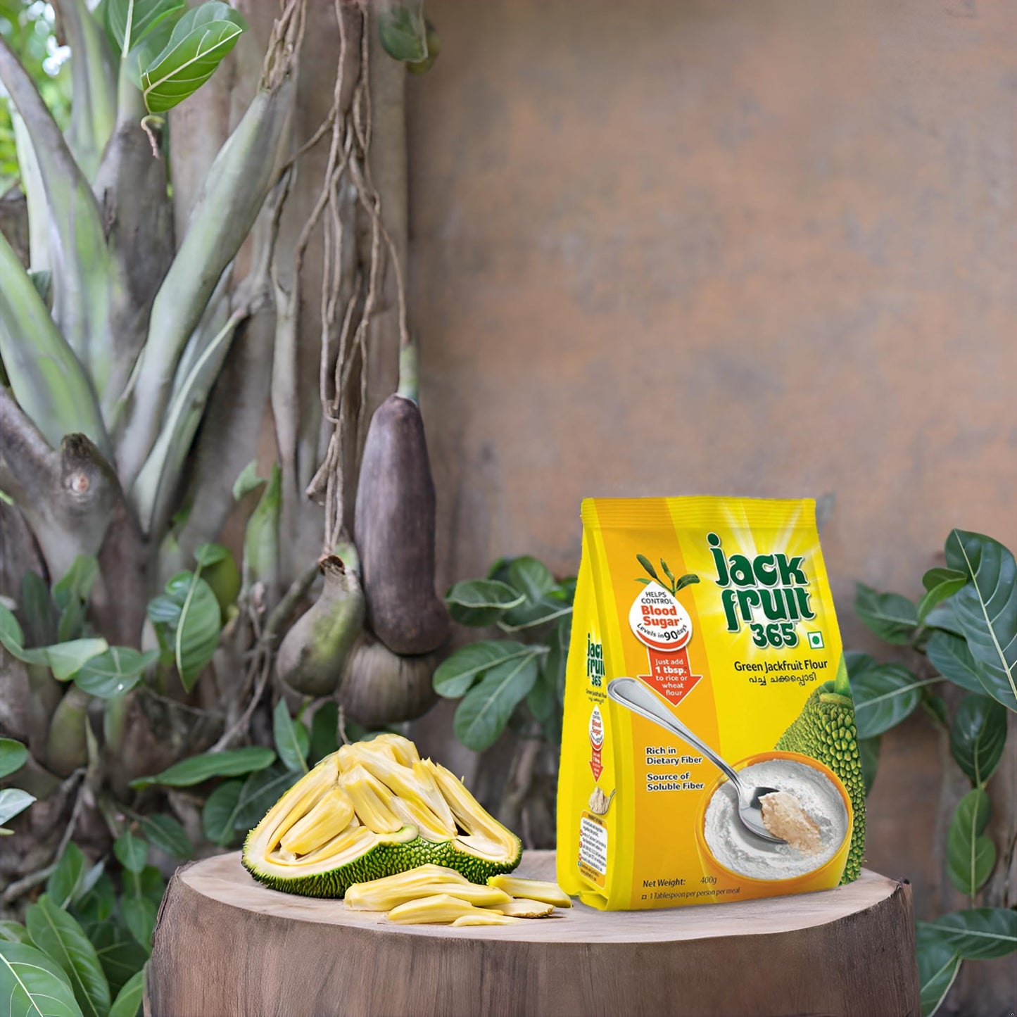 Generic Jackfruit Flour - Gluten Free, Vegan, Low Glycemic, Rich in Fiber - Pack of 2, 400g