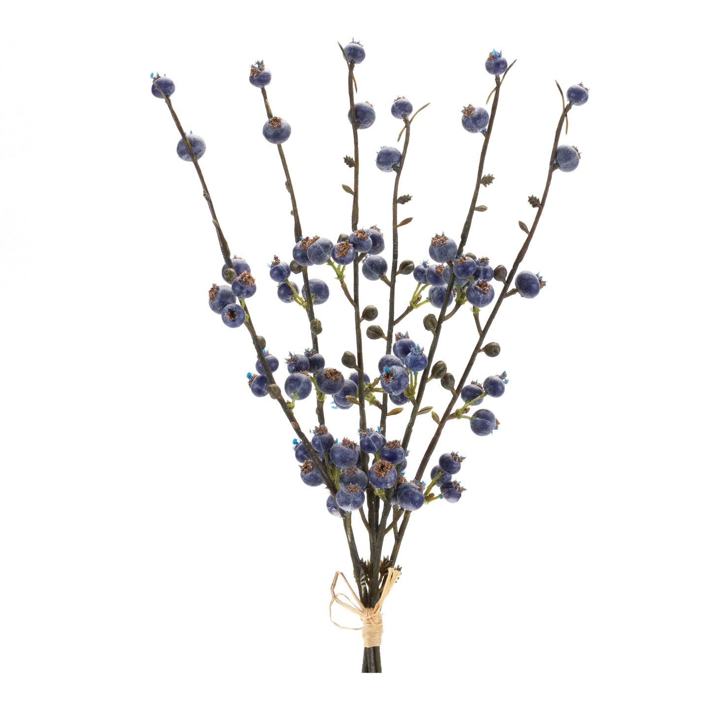 Berry Bundle (Set of 6) 14H Plastic