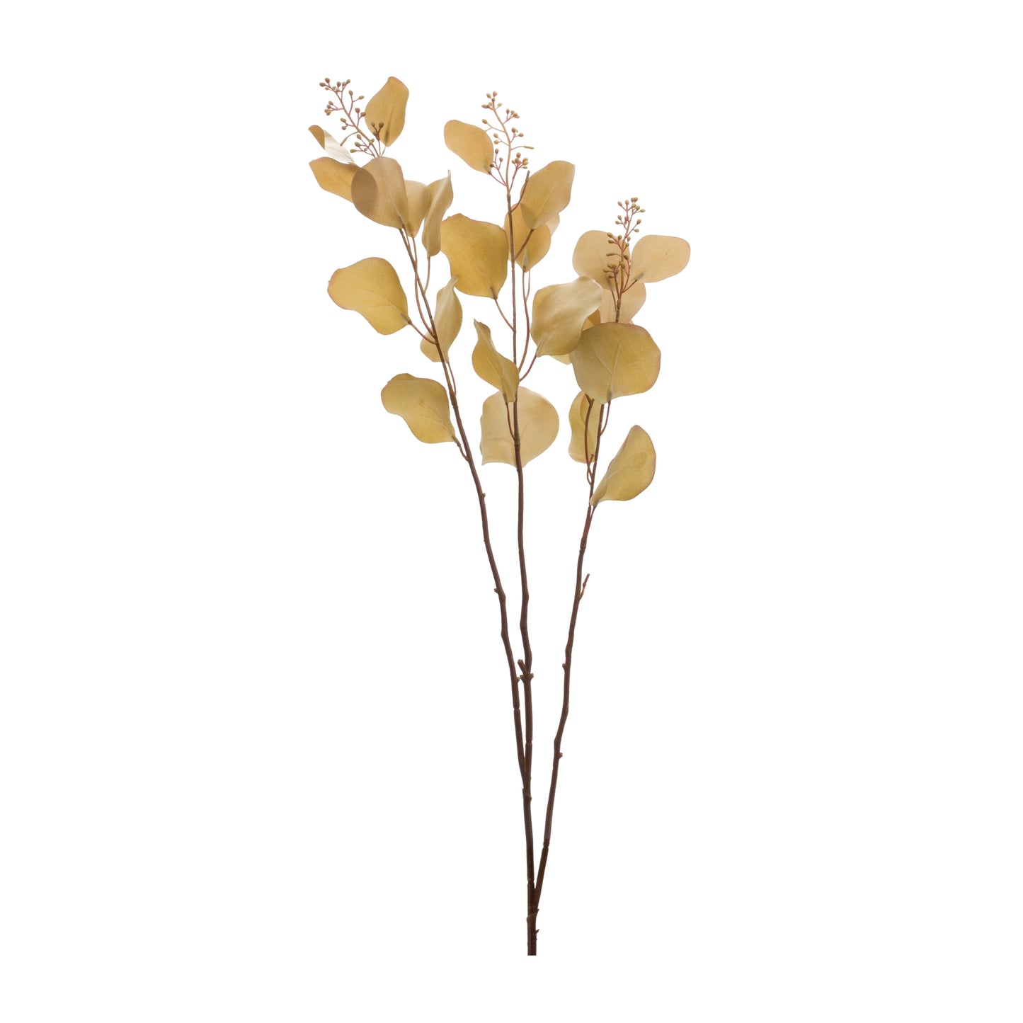 Eucalyptus Stem (Set of 2) 38H Polyester