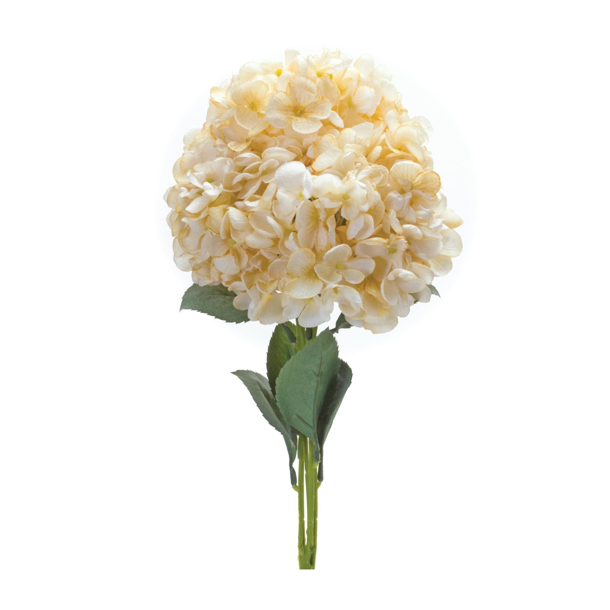 Hydrangea Bush (Set of 2) 19H Polyester