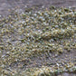 Garlic Salt