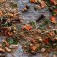 Jerk Seasoning