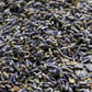 French Lavender