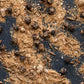Chaat Masala