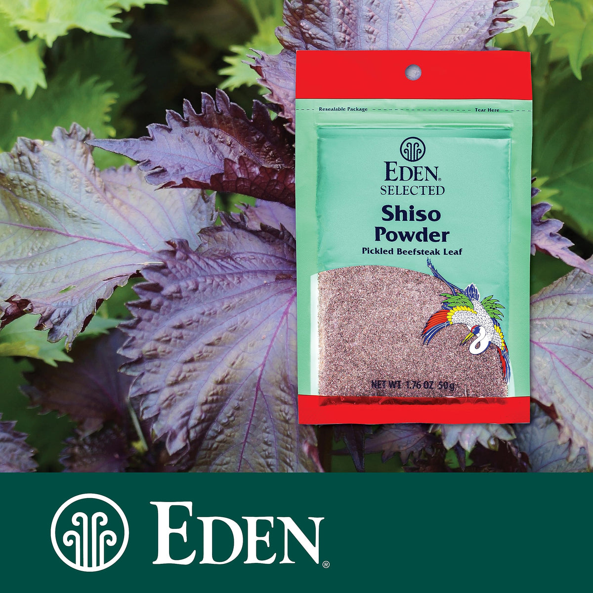 Eden Shiso Leaf Powder, Traditionally Made In Japan, Pickled Beefsteak Leaf, 1.76 Oz