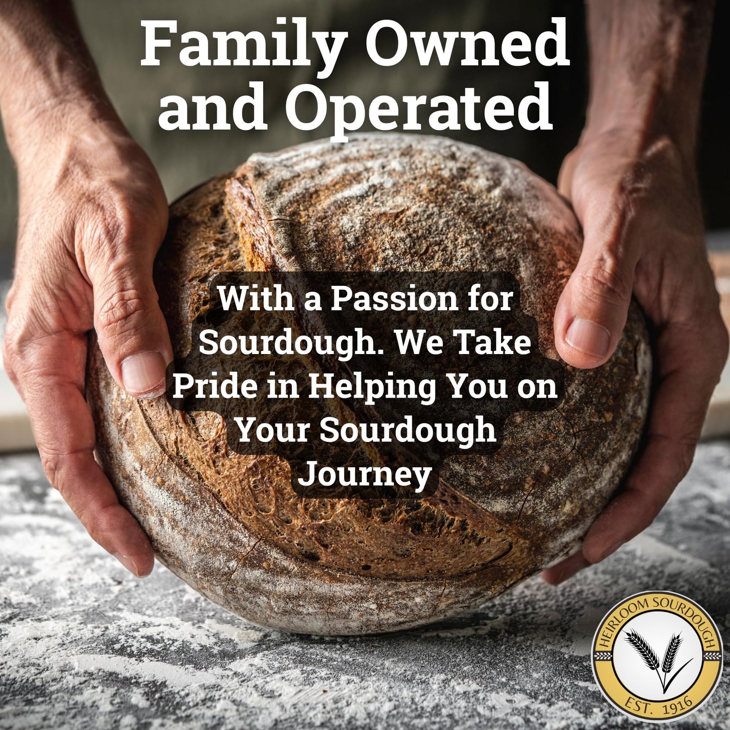 Generic 375-Year-Old French Sourdough Starter | Easy Instructions | 2 Ounce Pack