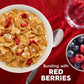 Kelloggs Special K Breakfast Cereal, Fiber Cereal, Family Breakfast, Red Berries, 11.4oz Box (1 Box)
