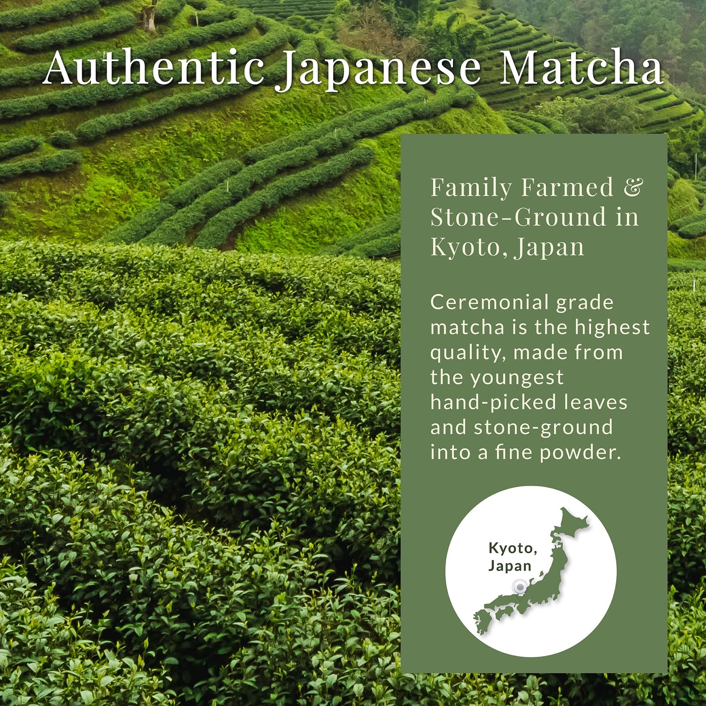 Matcha Sunday Ceremonial Grade Matcha - Kyoto  Japan - Finely Ground Green Tea Powder - Vibrant Green (50g/ 1.75oz)