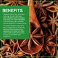 Jiva Organic Whole Star Anise 7 Oz Jumbo Bag - Non-GMO, Non Irradiated, Pure Spice from India, Staranise