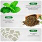TeaDreamTea Peppermint Herbal Tea Bags - Caffeine Free - 100 Count