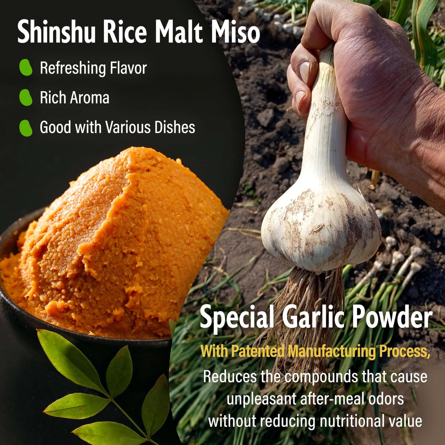 Yamasan Kyoto Uji Japanese Dry Garlic Miso Seasoning, Freeze-Dried Miso Powder Mixed With Garlic Powder, Rich Aroma And Umami, N