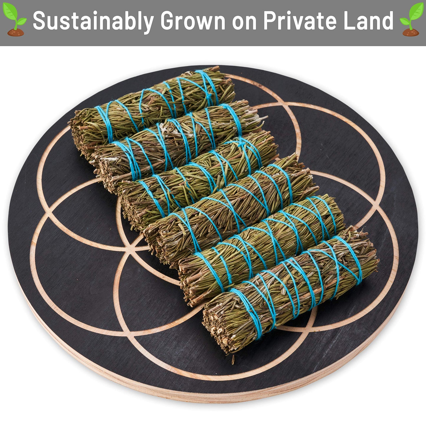 Rosemary Smudge Sticks 4 Inch | Rosemary Sage Smudging Wands | Wholesale Sage Bulk Sage Kit | Salvia Blanca Para Limpiar | Susta