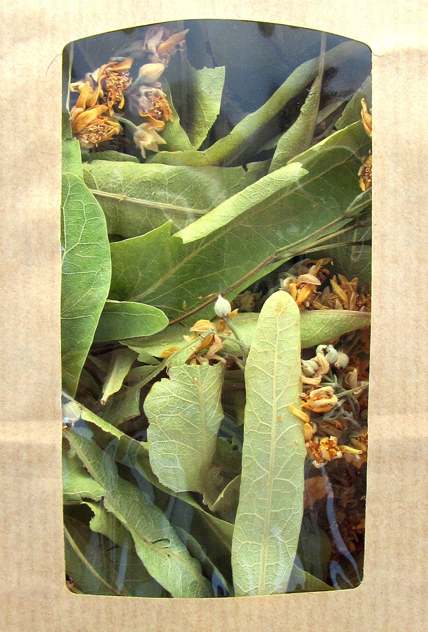 Chiron Kentavros Organic Bio Herb Linden/Tilia - 0.7 oz - Natural - GMO/Caffeine Free
