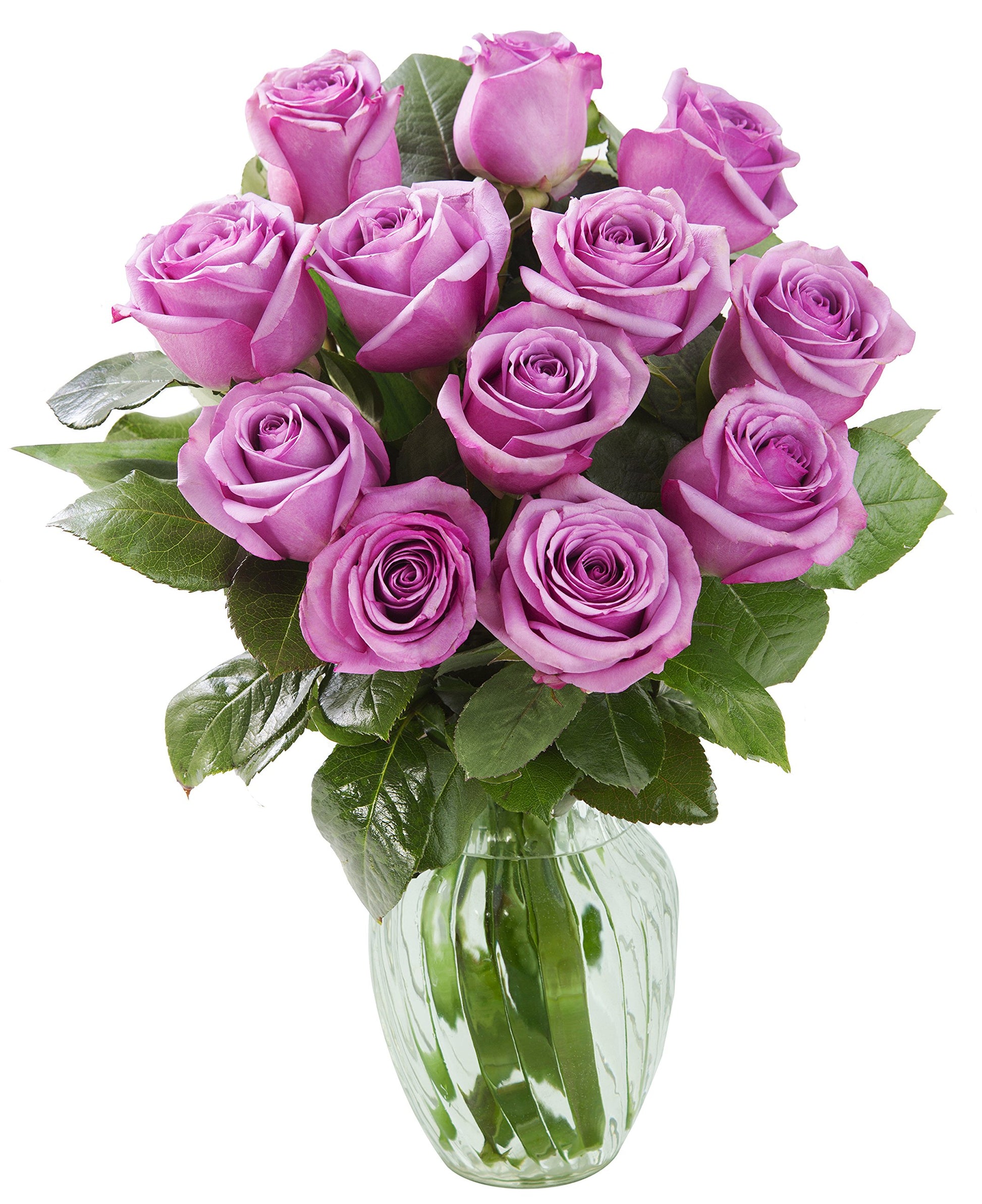 KaBloom Flowers - Bouquet of 12 Fresh Purple Roses (Farm-Fresh, Long-Stem) with Vase - Gift for Birthday, Anniversary, Thank You, Valentine, Mother’s Day Fresh Flowers