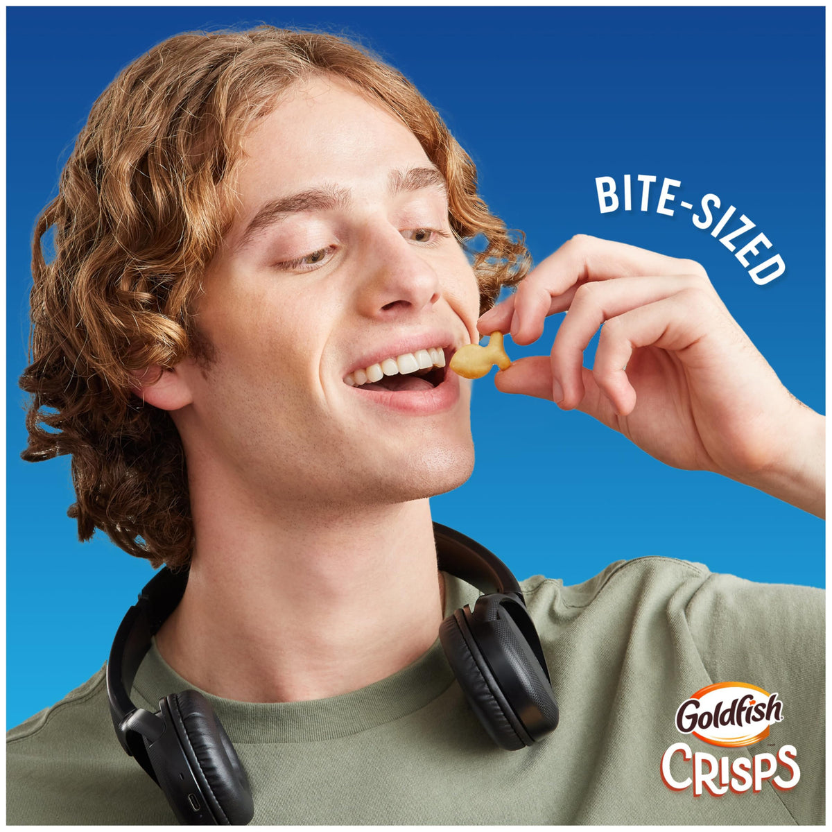 Goldfish Crisps Salt & Vinegar Flavored Baked Chip Cracker Snacks, 6.25 Oz Bag (Pack of 2)