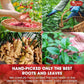 Hormone Balance Natural Menstrual Cycle Support Tea