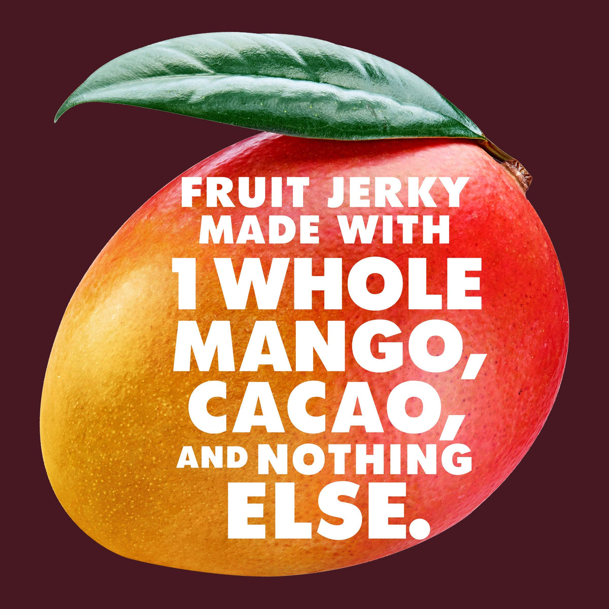 SOLELY - Organic Mango Chocolate Drizzled Fruit Jerky - 12 Individually Wrapped Strips - Fruit Leather Made from Dried Fruit - H