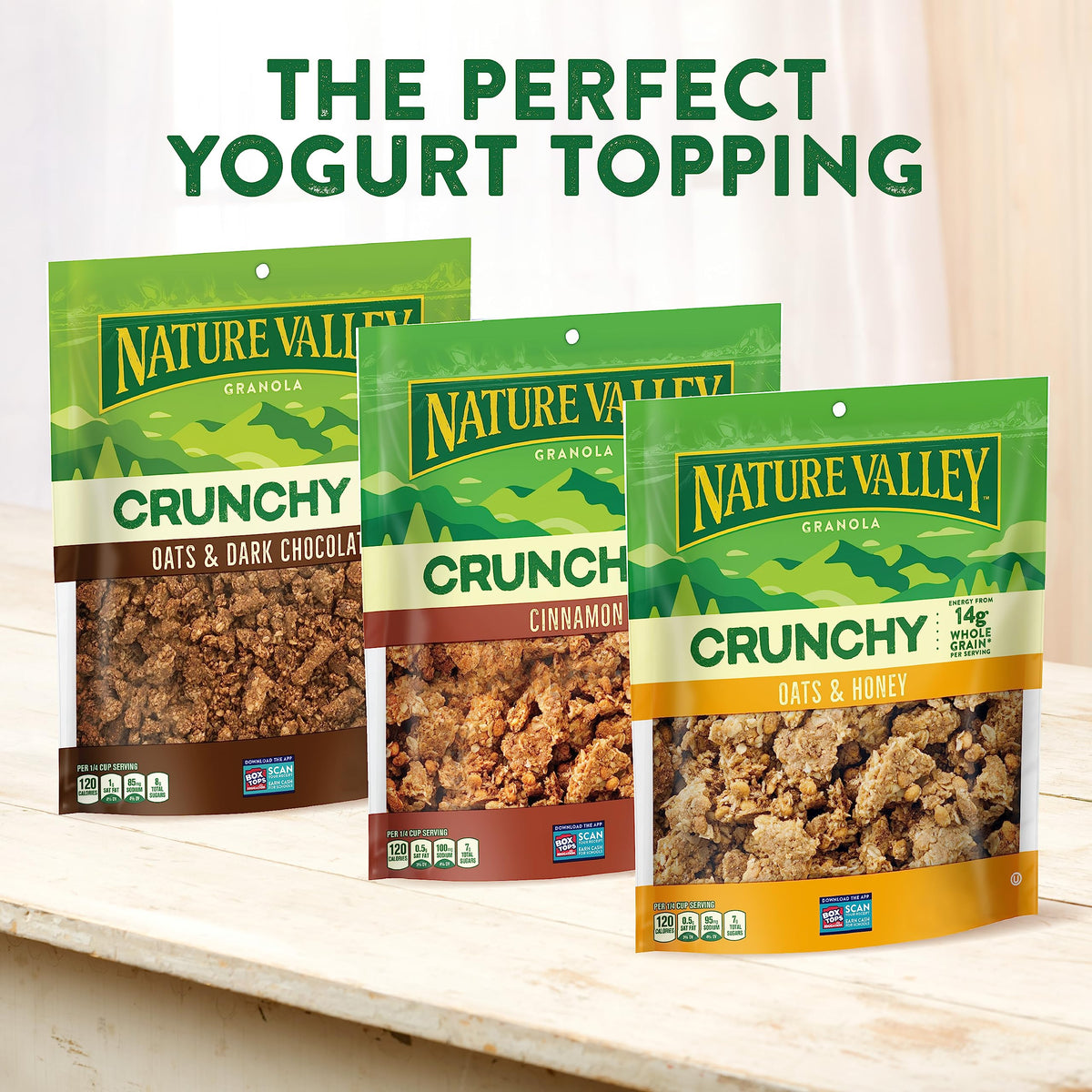 Nature Valley Protein Granola, Oats and Dark Chocolate Granola, Resealable Snack Pouch, 11 oz