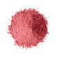 Food to Live Organic Strawberry Powder, 12 Ounces - Non-GMO, Freeze-Dried, 100% Pure, No Additives, Vegan, Bulk, Easy to Mix, Ri