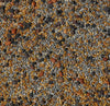 No-Till Solutions No-Till Cover Crop Seed Mix ½-lb Bag - 13-Seed Blend with Clovers, Fenugreek, Vetch, Cowpeas, and More