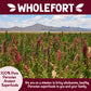 Puffed Quinoa Cereal + Nothing - Vegan - Gluten Free - Non-GMO - [11 oz] Try Quinoa Pops as Snacks - Cereal - Salad Topper for S