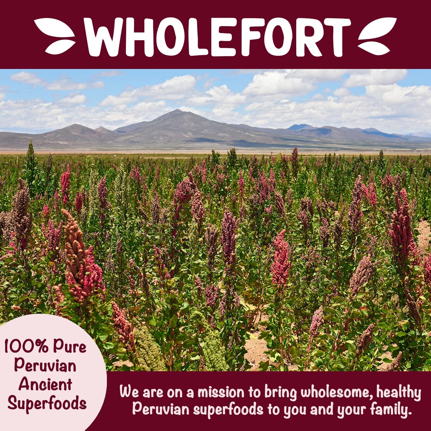 Puffed Quinoa Cereal + Nothing - Vegan - Gluten Free - Non-GMO - [11 oz] Try Quinoa Pops as Snacks - Cereal - Salad Topper for S