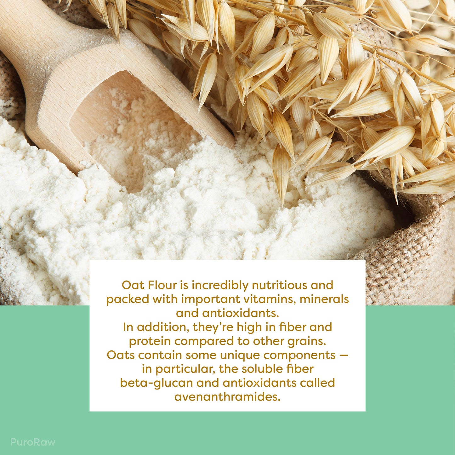 PuroRaw Oat Flour, Gluten Free, Non-GMO, 32 Ounce, Product of Canada