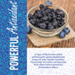 Whole Dried Blueberries, No Sugar Added, Bulk, Dehydrated, Dried Unsweetened Blueberries, All Natural, Non-Gmo, 1 Pound. - 16 Oz.