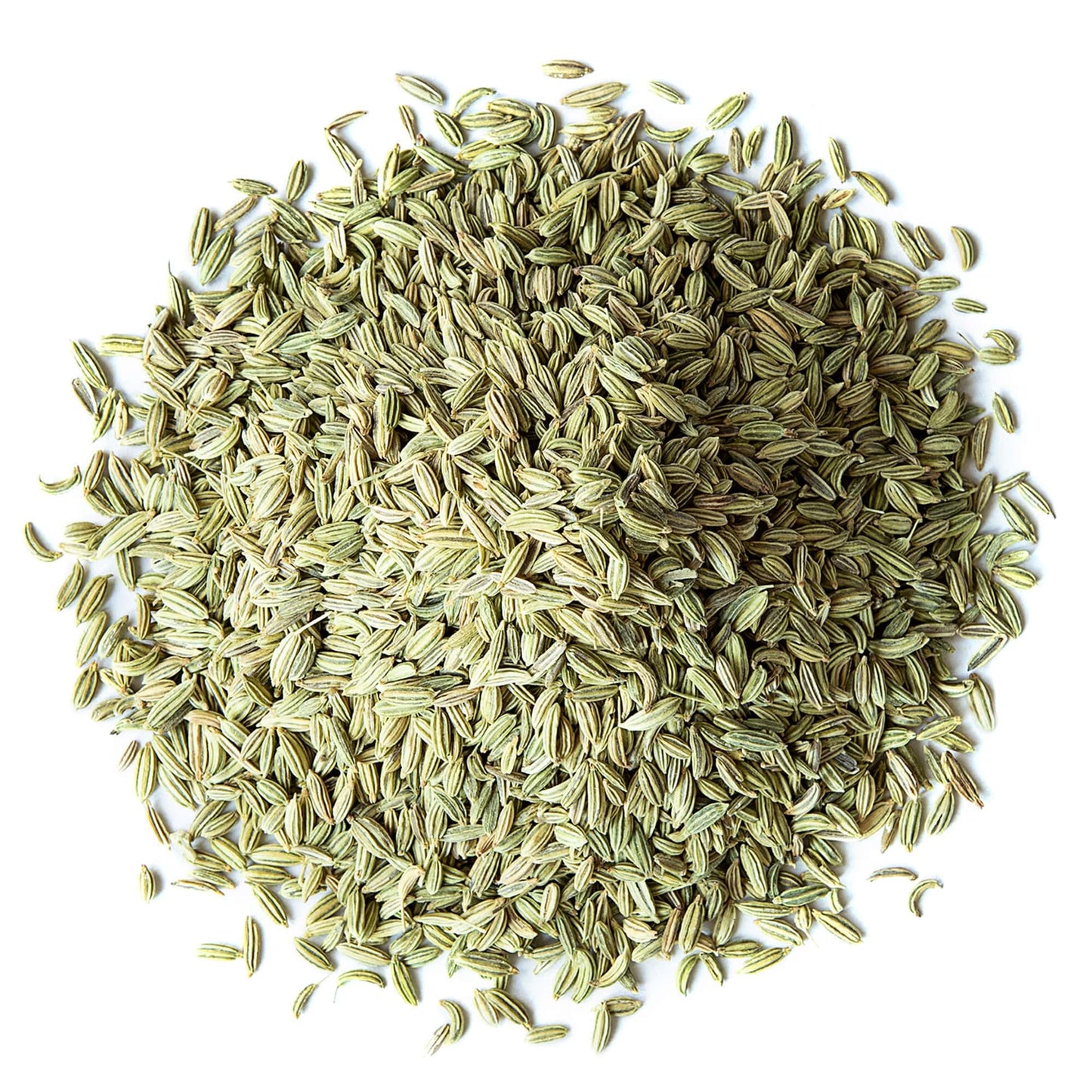 Food to Live Organic Fennel Seeds - Whole Raw Non-GMO Spice, 7 Pound