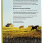 Kettle & Fire Regenerative Agriculture Beef Bone Broth, 16.9 OZ