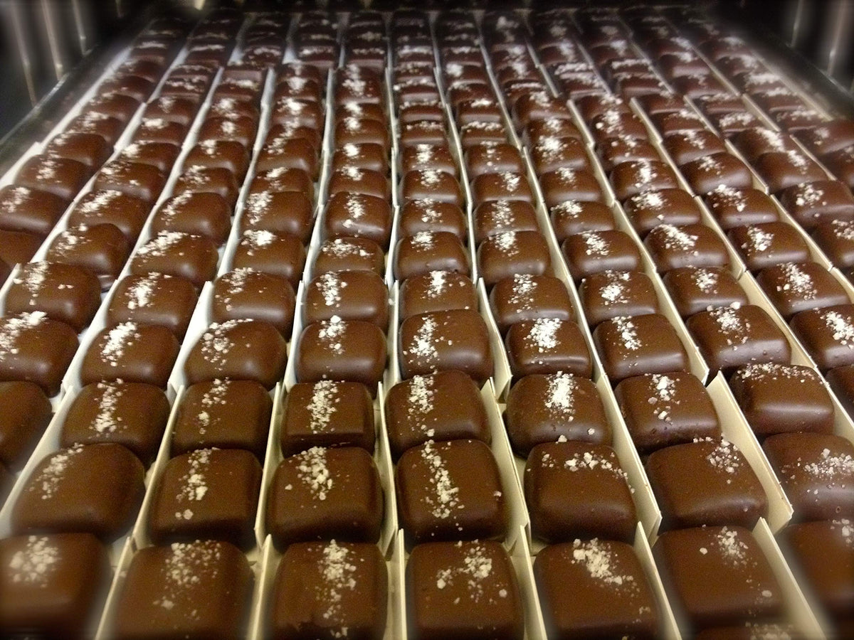 Cocomels, Coconut Milk Caramels, Sea Salt, 1 oz