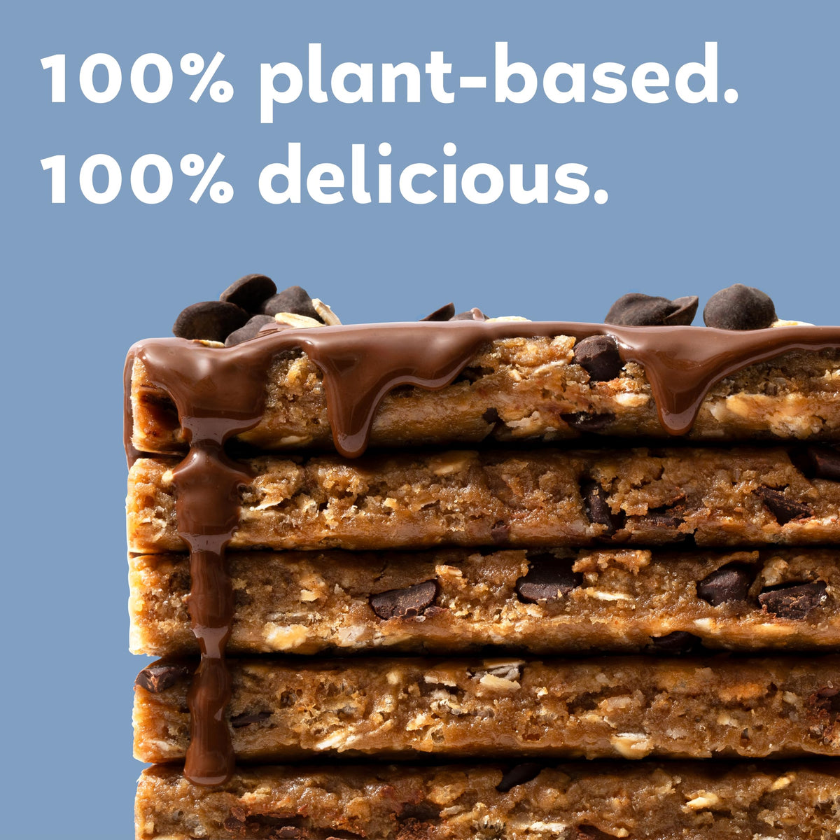 Gomacro Macrobar Organic Vegan Protein Bars - Oatmeal Chocolate Chip (2.3 Ounce Bars, 12 Count)