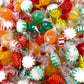 Assortit Holiday Hard Candy Assortment - Peppermint, Spearmint, Cinnamon, Butterscotch - 6 lbs Individually Wrapped