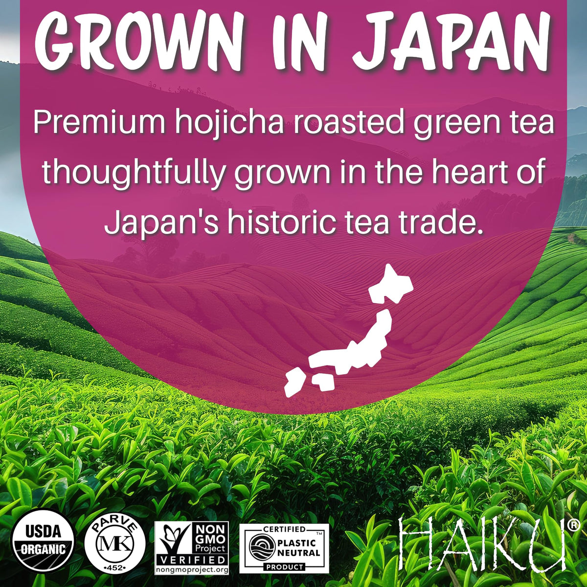 Haiku Organic Japanese Hojicha Roasted Green Tea, Kosher, Non-Gmo, 16 Teabags (1 Box)