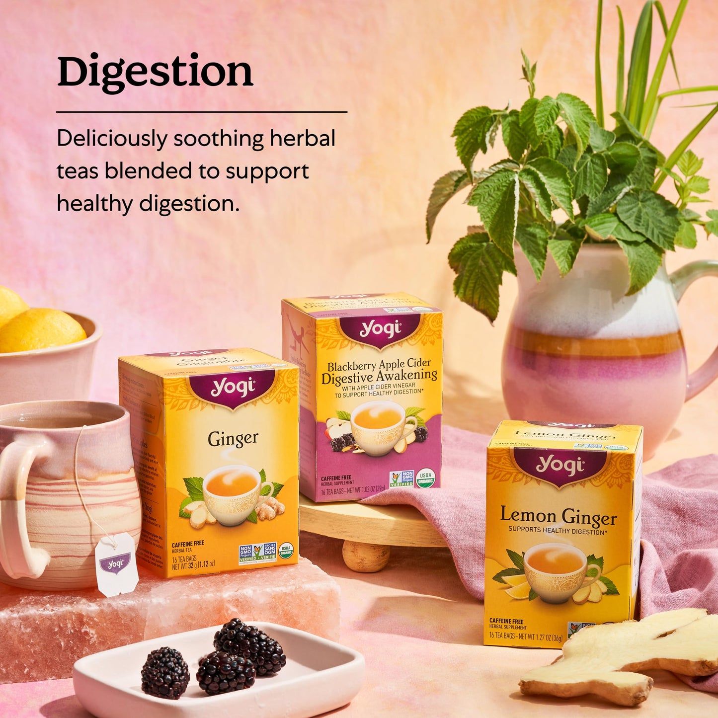 Yogi Tea Soothing Relief Constipation Support - Tea With Organic Senna Leaf - Gently Aids Constipation Overnight - Laxative Tea