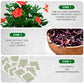 Teadreamtea Hibiscus Tea Bags | 400 Bleach-Free Tea Bags | Caffeine Free | Dried Hibiscus Flowers |Hibiscus Flower Tea | Dried Flower Tea |Herbalhibiscus