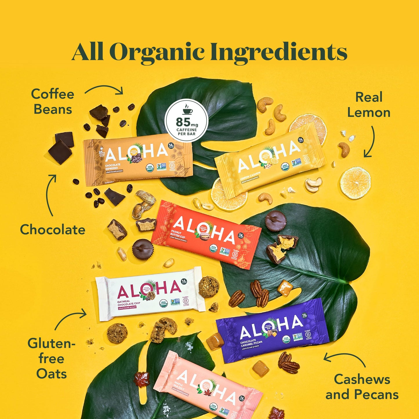 ALOHA Organic Plant Based Protein Bars - Sampler Pack #2-12 Bars  Vegan  Low Sugar  Gluten-Free  Paleo  Low Carb  Non-GMO  No Stevia  No Erythritol