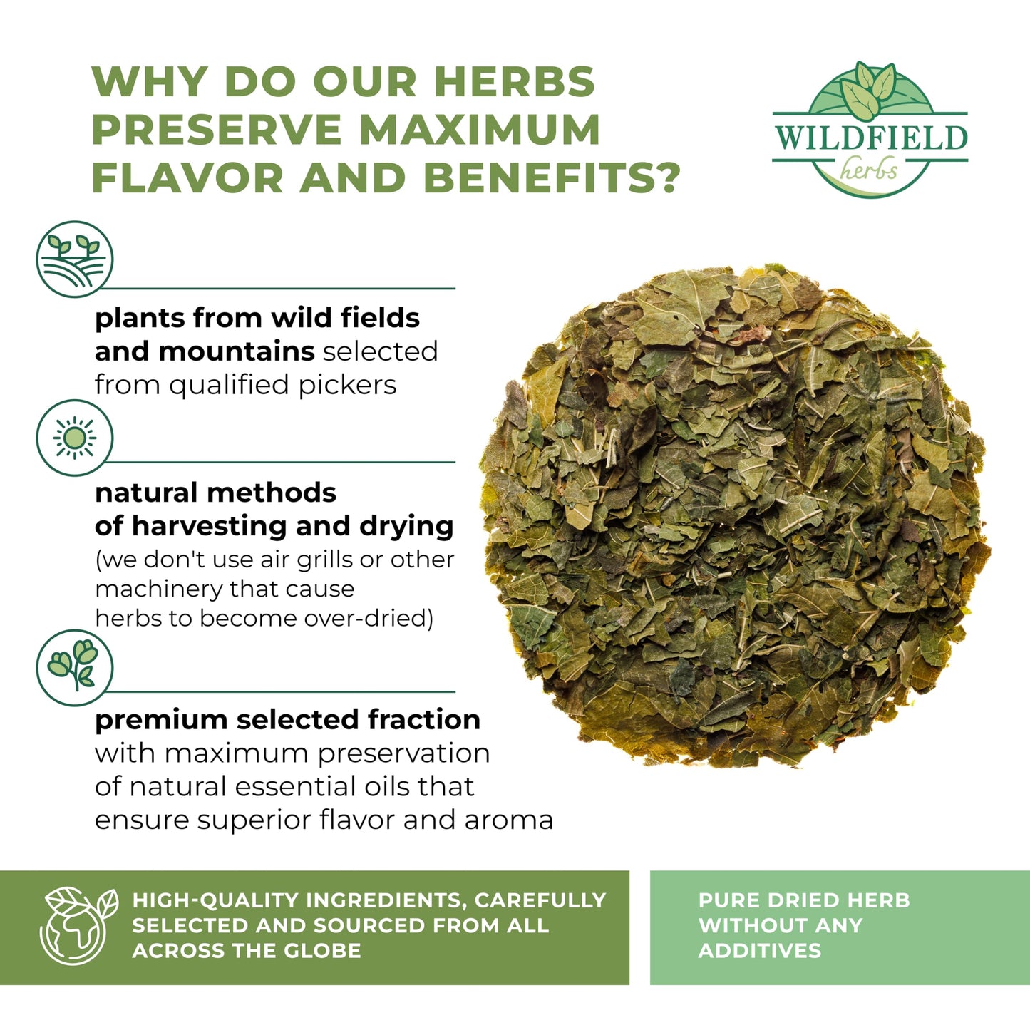WILDFIELD HERBS White Mulberry Tea - Herbal Tea Bags 50 Count - Morus Alba 1.5g Bags