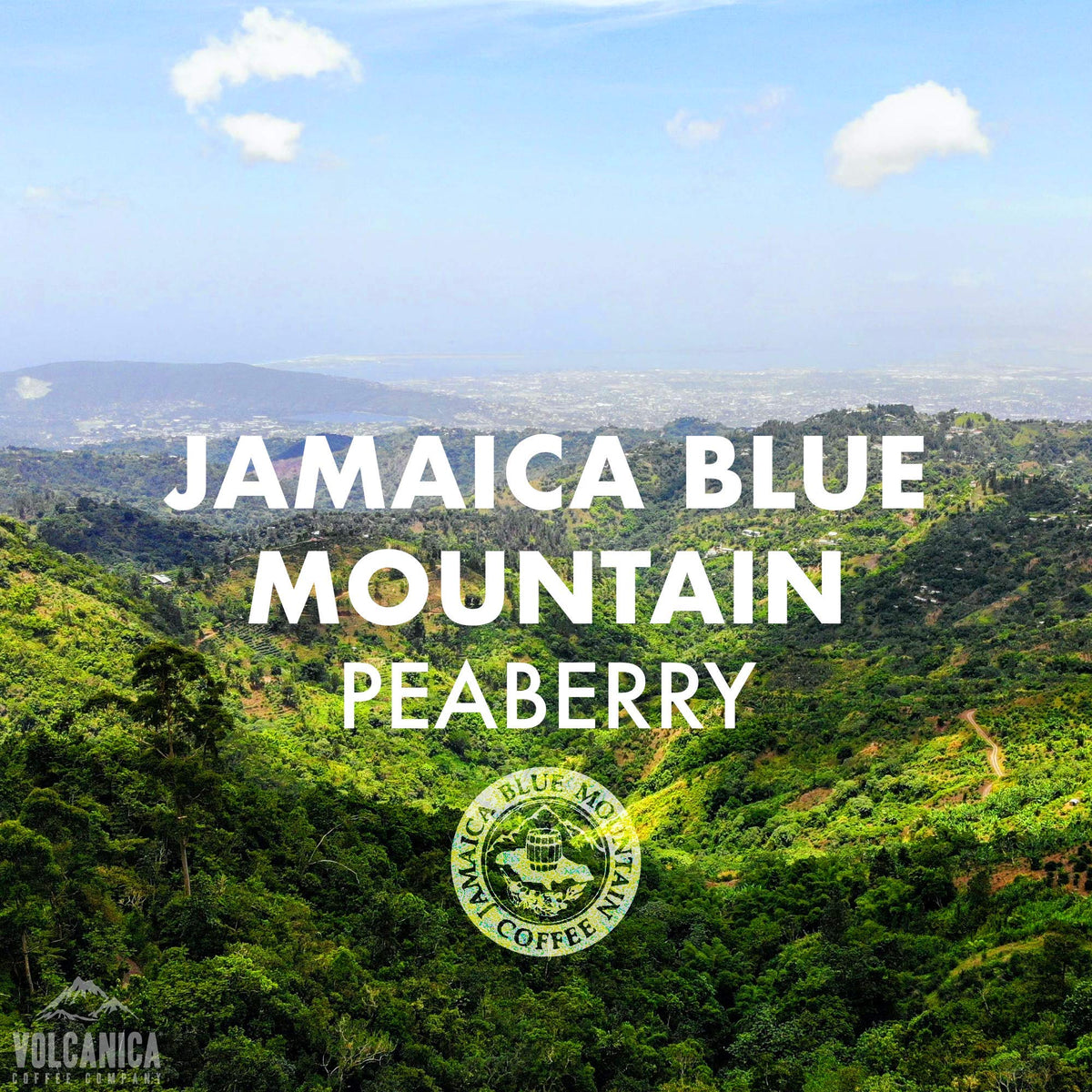 Jamaica Blue Mountain Peaberry Coffee, 100% Pure, Whole Bean, Fresh Roasted, 5 Lbs