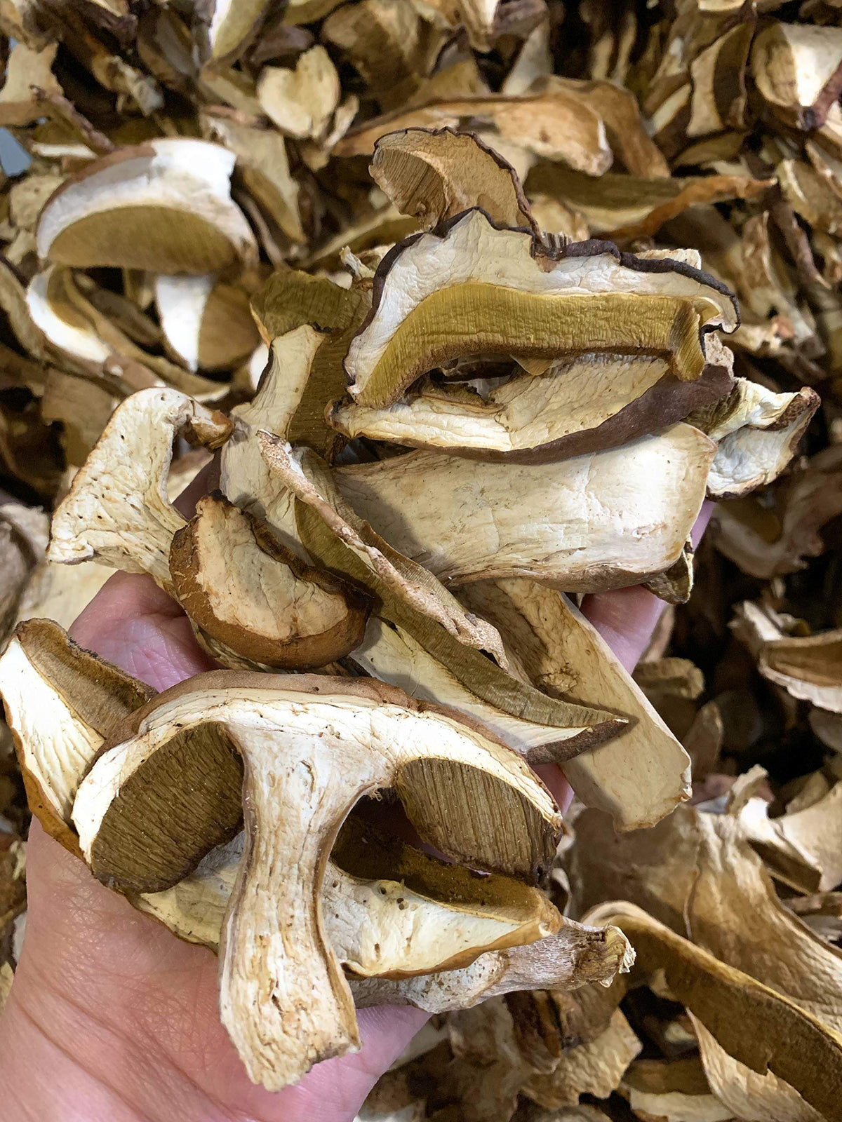 Wild Dried Porcini Mushrooms - Boletus Edulis, 3 Oz.
