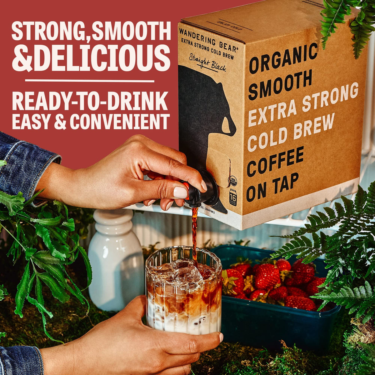 Wandering Bear Organic Mocha Cold Brew Coffee - Extra Strong, Unsweetened, 96 fl oz