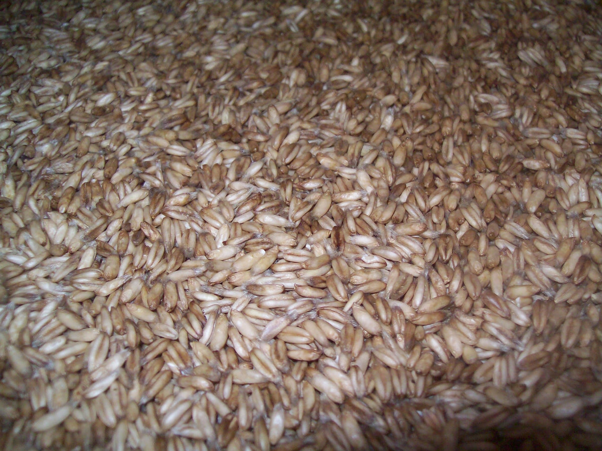 Quality Organic Whole Oat Groats, Raw Hulless Oats, 15 lbs, Organic, Clear Poly Plastic Bag