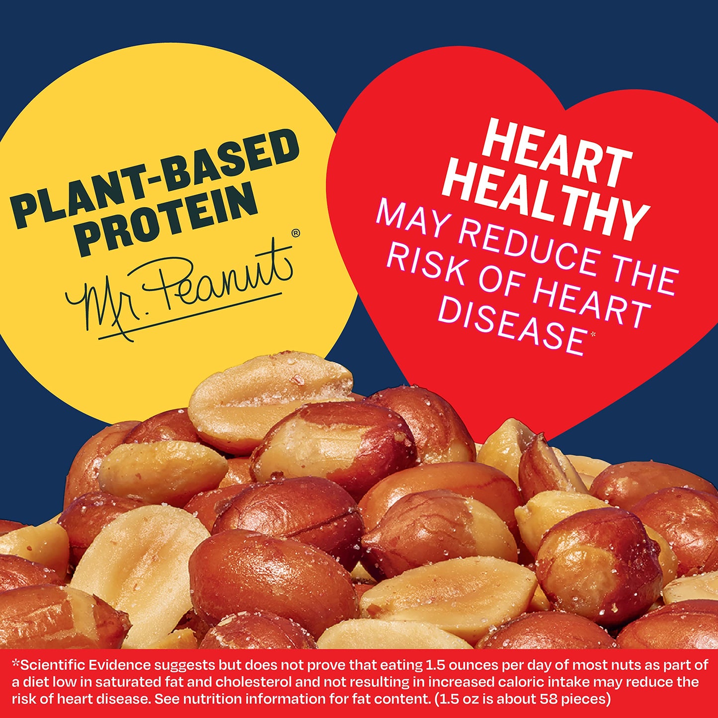 PLANTERS Roasted Salted Spanish Peanuts, Plant-Based Protein, 12.5oz Canister